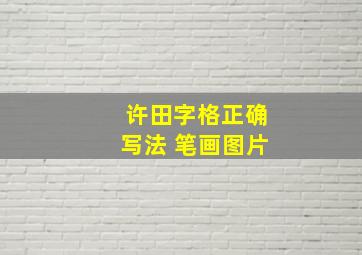 许田字格正确写法 笔画图片